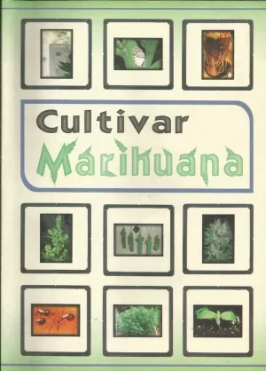 CULTIVAR MARIHUANA