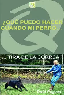 ¿QUÉ PUEDO HACER CUANDO MI PERRO?TIRA DE LA CORREA? ¿QUÉ PUEDO HACER CUANDO MI PERRO?TIRA DE LA CORREA?