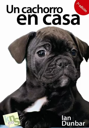 UN CACHORRO EN CASA UN CACHORRO EN CASA
