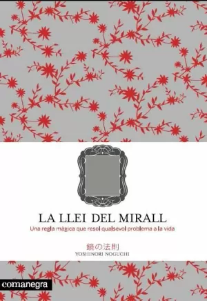 LA LLEI DEL MIRALL