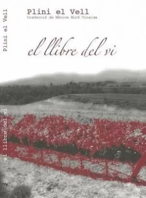 EL LLIBRE DEL VI