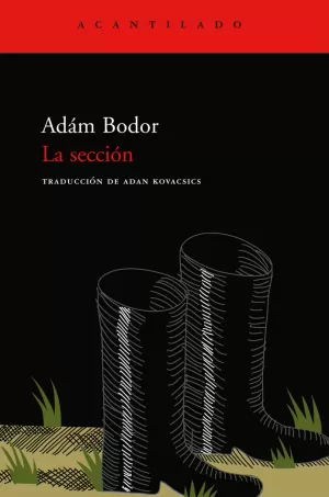 SECCION CA-22