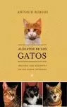 ALEGATOS DE LOS GATOS