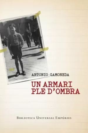 UN ARMARI PLE D'OMBRA