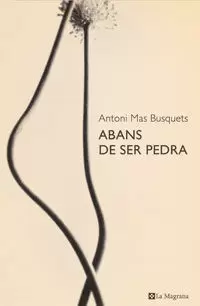 ABANS DE SER PEDRA