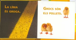 MÓMIES MÓMIES