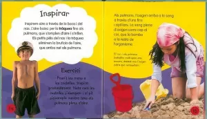 EL COR I ELS PULMONS