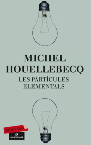 LES PARTÍCULES ELEMENTALS LES PARTÍCULES ELEMENTALS