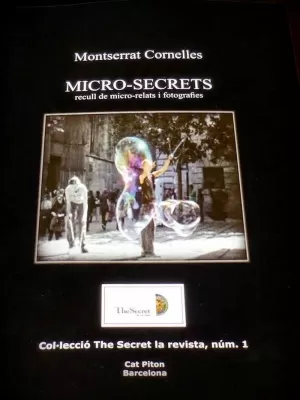 MICRO-SECRETS