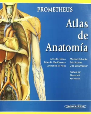 ANATOMIA ORIENTACION CLINICA