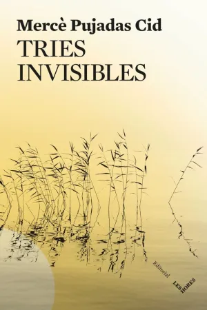 TRIES INVISIBLES